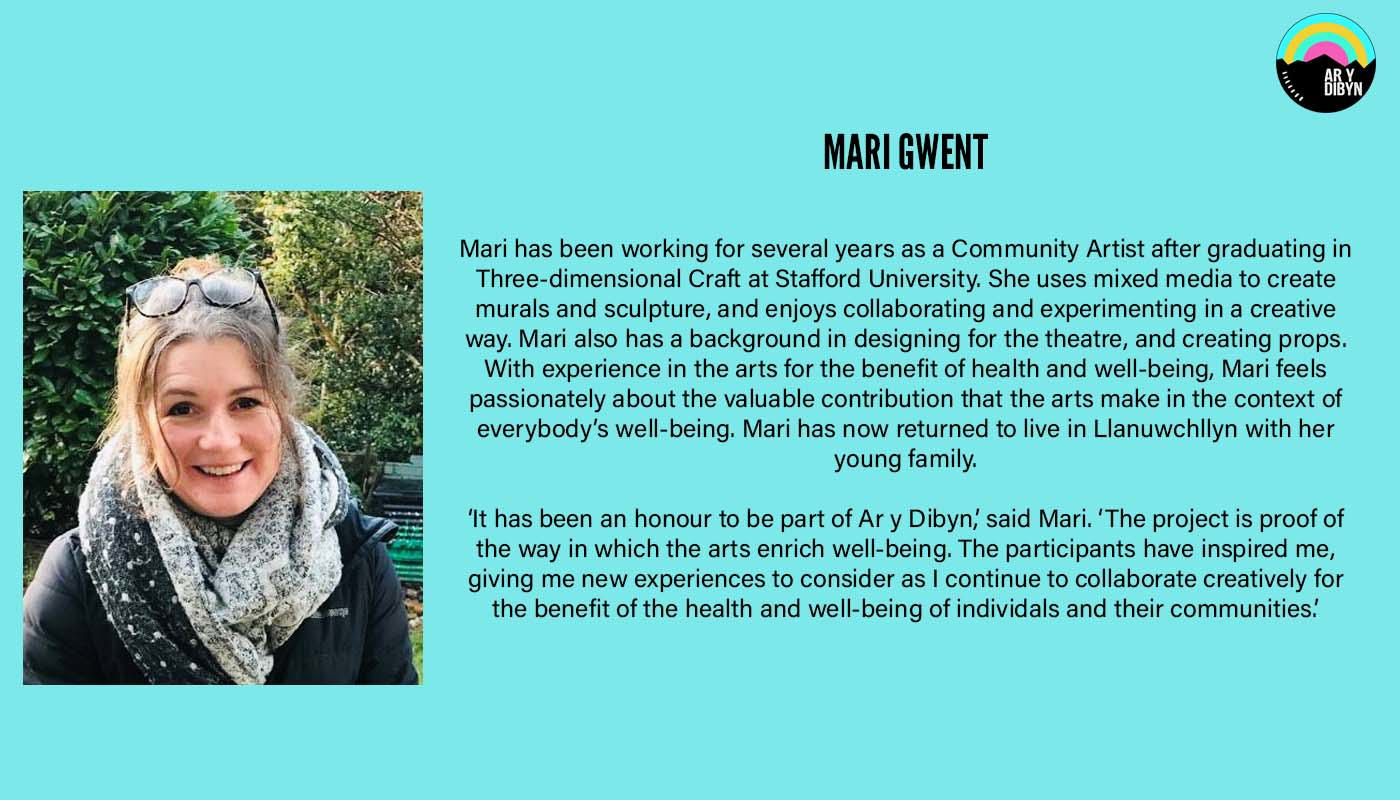 Graphic to introduce Mari Gwent. Background is a light blue. On the left is an image of Mari who is smiling. On the right there is text detailing her biography and the Ar y Dibyn project logo