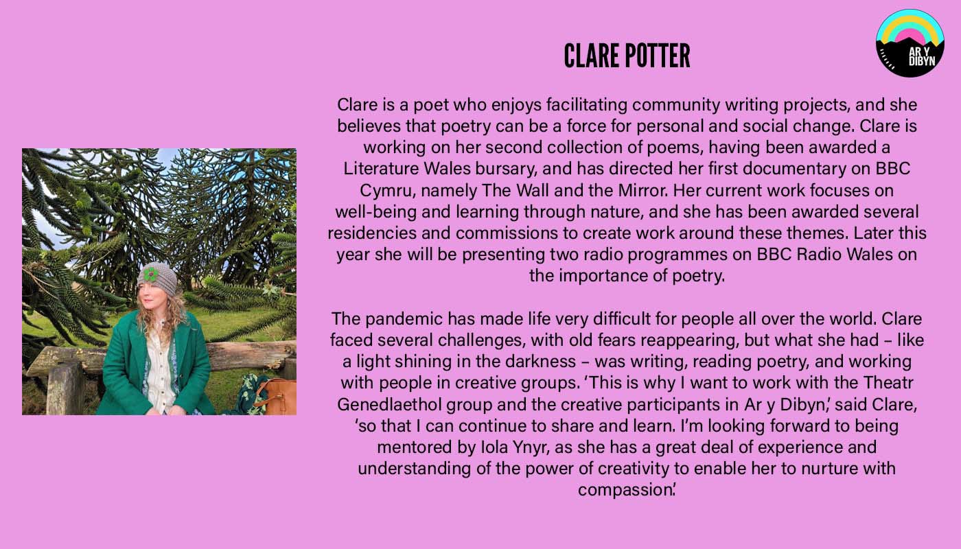 Graphic to introduce Clare Potter. Background is a light purple. On the left is an image of Clare who is half-smiling and looks off camera. On the right there is text detailing her biography and the Ar y Dibyn project logo