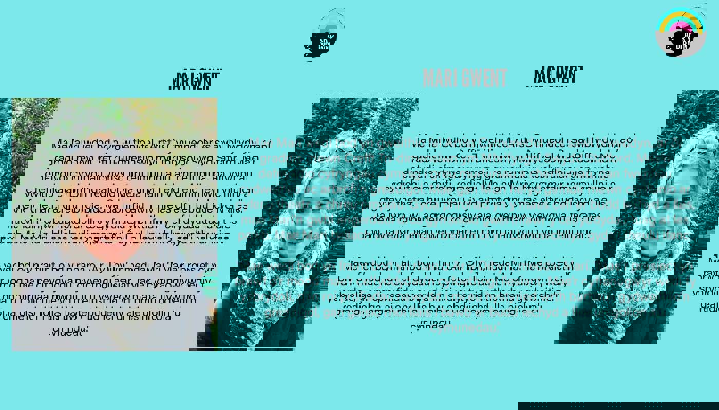 Graphic to introduce Mari Gwent. Background is a light blue. On the left is an image of Mari who is smiling. On the right there is text detailing her biography and the Ar y Dibyn project logo