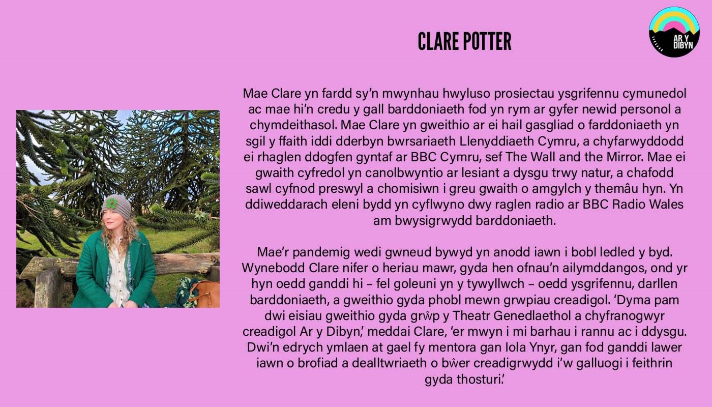 Graphic to introduce Clare Potter. Background is a light purple. On the left is an image of Clare who is half-smiling and looks off camera. On the right there is text detailing her biography and the Ar y Dibyn project logo