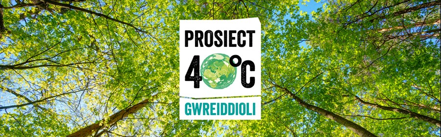 Background of an upward perspective shot of trees with blue skies visible through the trees. In the centre is the logo for Prosiect 40°C which features the name of the project in upper case text, but instead of the '0' in '40' there is a small, graphic image of a green planet.